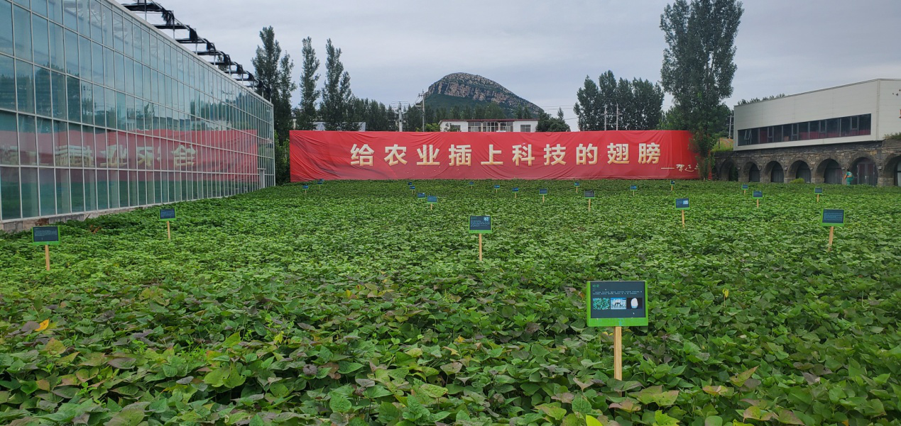 1662447802830702.png 5 鄉(xiāng)村振興齊魯樣板“尼山鹿鳴”示范區(qū)實景圖.png